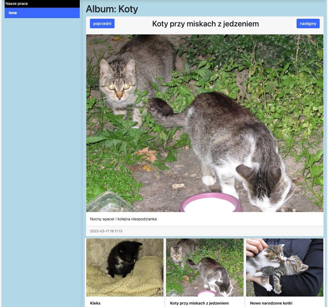 moduł galeria z albumem zawierającym zdjęcia kotów