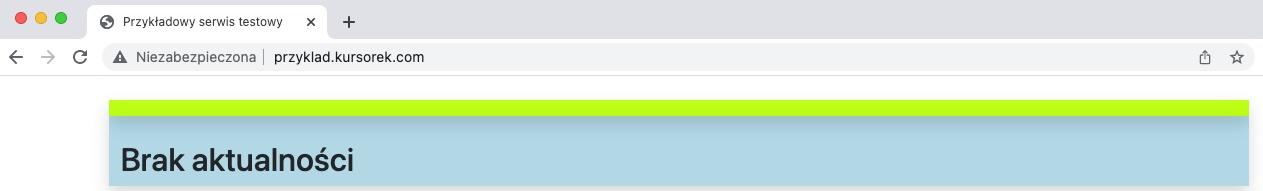 okno nowego serwisu testowego zaraz po założeniu
